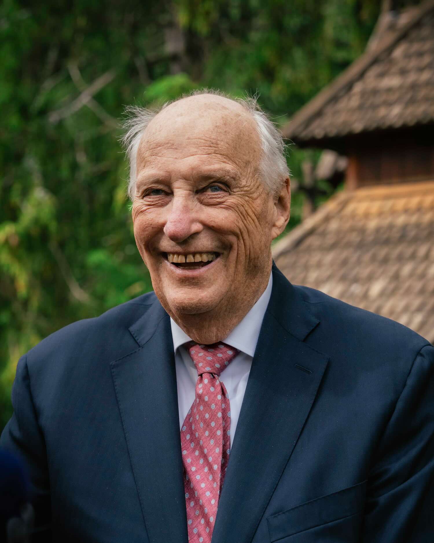 Portrett av Kong Harald ved Savjord stavkirke i Beiarn kommune 9. juni 2026 Foto: Ola Vatn / Det kongelige hoff